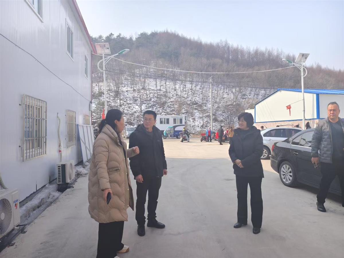 市红十字会林宝凤副会长到宽甸县开展红十字会基层组织建设调研